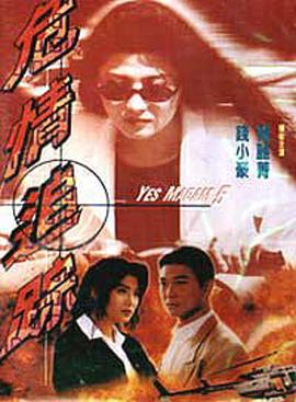 刘诚导演电视剧危情追踪