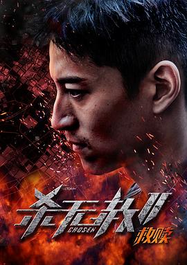 李晨恺导演电视剧杀无赦第二季I救赎