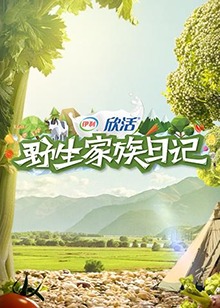 大陆综艺野生家族日记